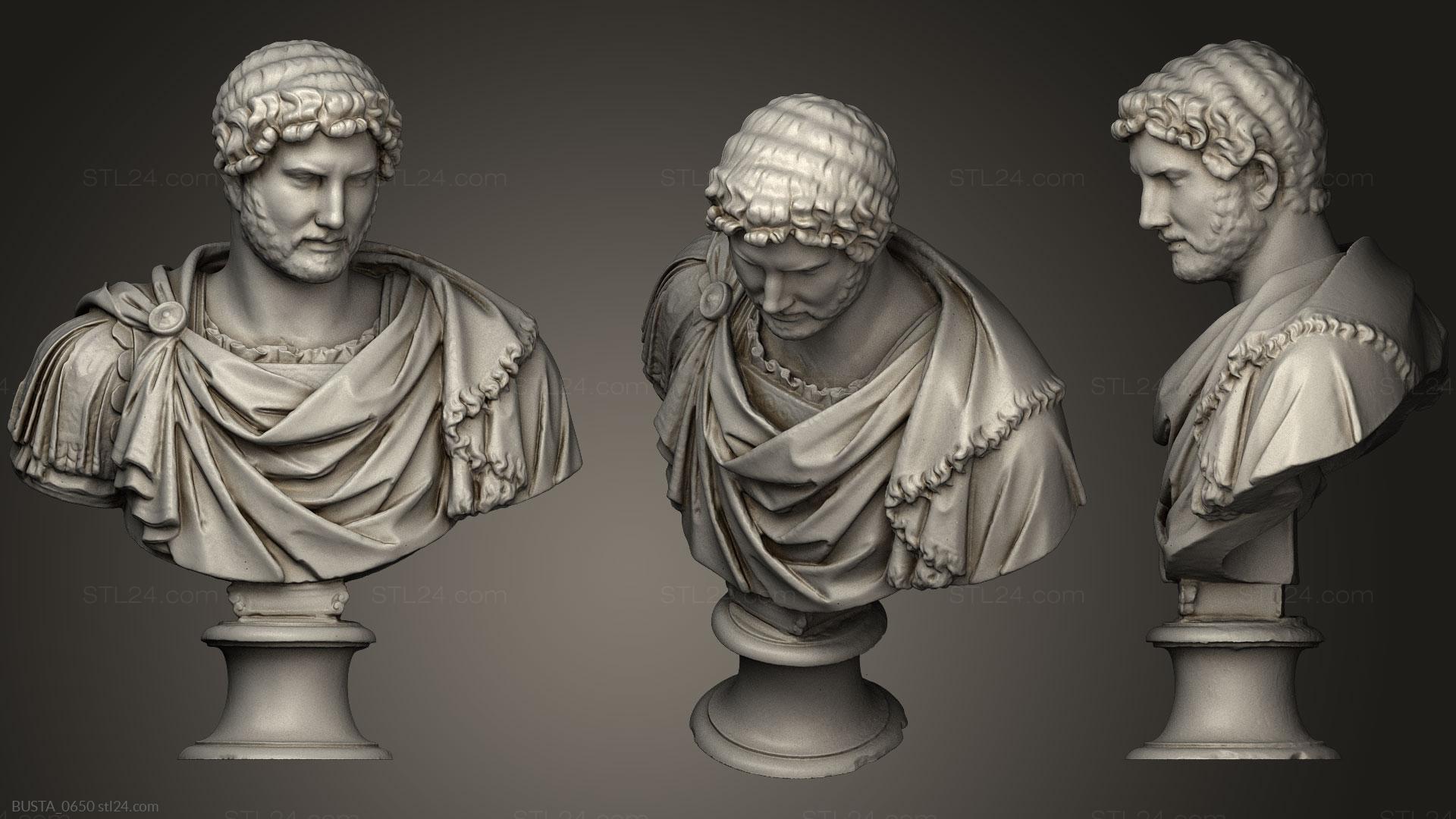 Бюсты и головы античные и исторические (Адриан, BUSTA_0650) 3D модель для ЧПУ станка
